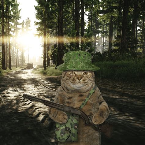 cat tarkov price.